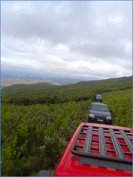 A group of cars driving on a hill

Description automatically generated